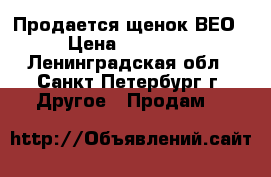 Продается щенок ВЕО › Цена ­ 20 000 - Ленинградская обл., Санкт-Петербург г. Другое » Продам   